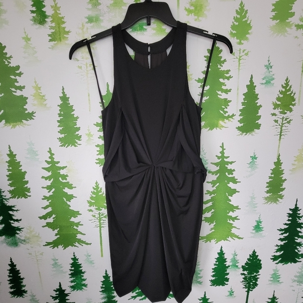 BCBG Maxazria Tie Waisted Dress.